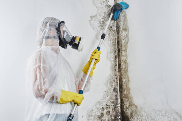 Best Mold Testing  in Greenfield, MO