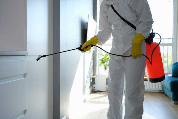 Best Home Mold Removal  in Greenfield, MO